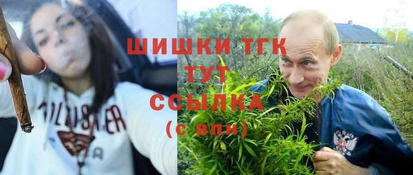 не бодяженный Корсаков