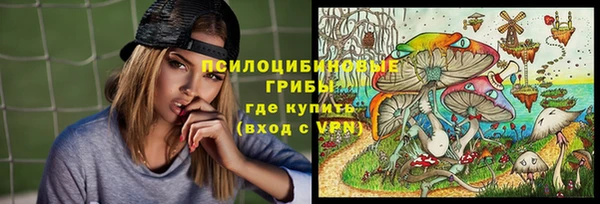 соль ск Костерёво