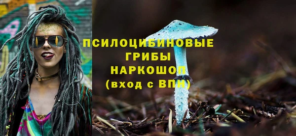 не бодяженный Корсаков