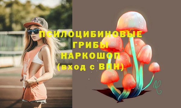 соль ск Костерёво